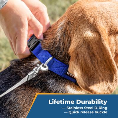 Show full view: GoTags Nylon Personalized Dog Collar, Charcoal, Small: 11 to 16-in neck, 5/8-in wide slide 6 of 8