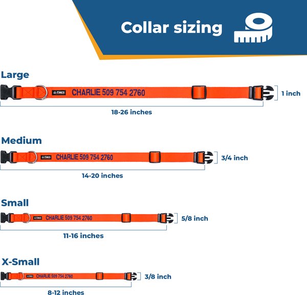 Show full view: GoTags Nylon Personalized Dog Collar, Hunter Green, X-Small: 8 to 12-in neck, 3/8-in wide slide 7 of 7