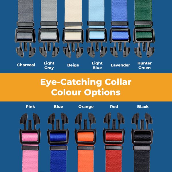 Show full view: GoTags Adjustable Nameplate Personalized Dog Collar, Light Gray, Medium: 14 to 20-in neck, 3/4-in wide slide 4 of 7