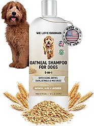 We Love Doodles 5-in-1 Premium Oatmeal Dog Shampoo, 16-fl oz bottle