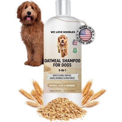 We Love Doodles We Love Doodles 5-in-1 Premium Oatmeal Aloe Lavender Dog Shampoo, 16-fl oz bottle