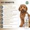 Show in main carousel: We Love Doodles 5-in-1 Premium Oatmeal Dog Shampoo, 16-fl oz bottle slide 3 of 9