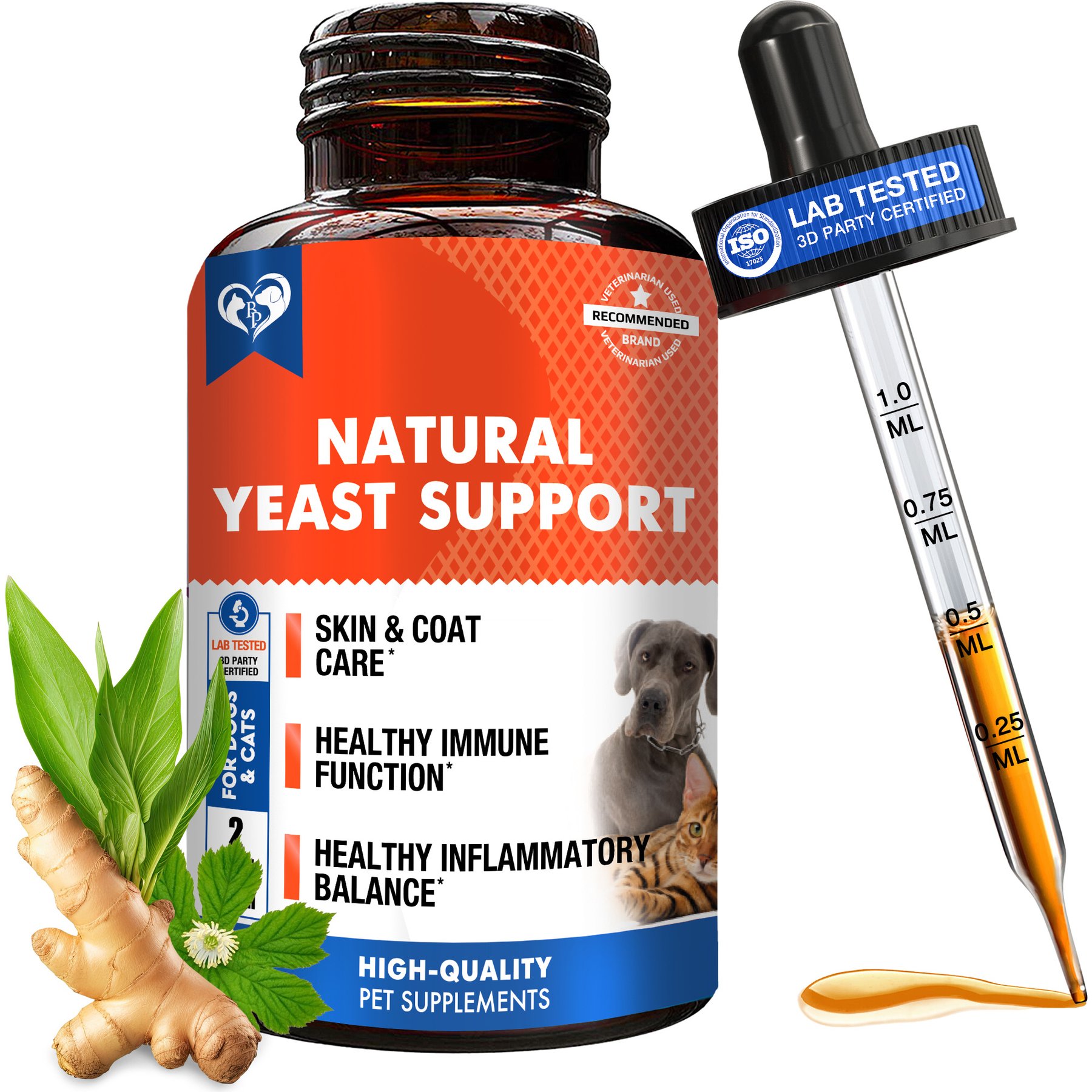 Best Food for Dogs With Yeast Problems: Top Healthy Picks