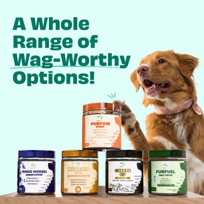 Show full view: Pawfect Pumpkin Purge All Natural Grain-Free Dog Food topper, 8.81-oz jar slide 7 of 9