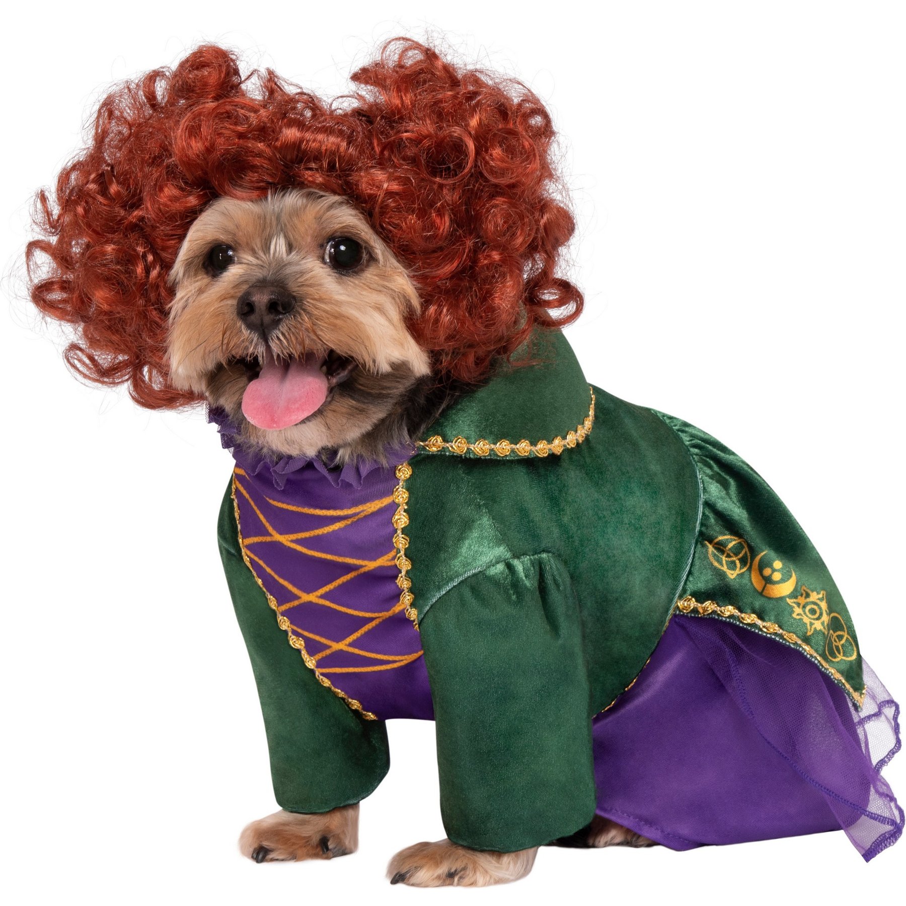 Rubie's Costume Company Hocus Pocus Winifred Sanderson Dog Costume, Small