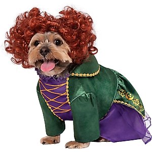 Rubie's Costume Company Hocus Pocus Winifred Sanderson Dog Costume, Medium