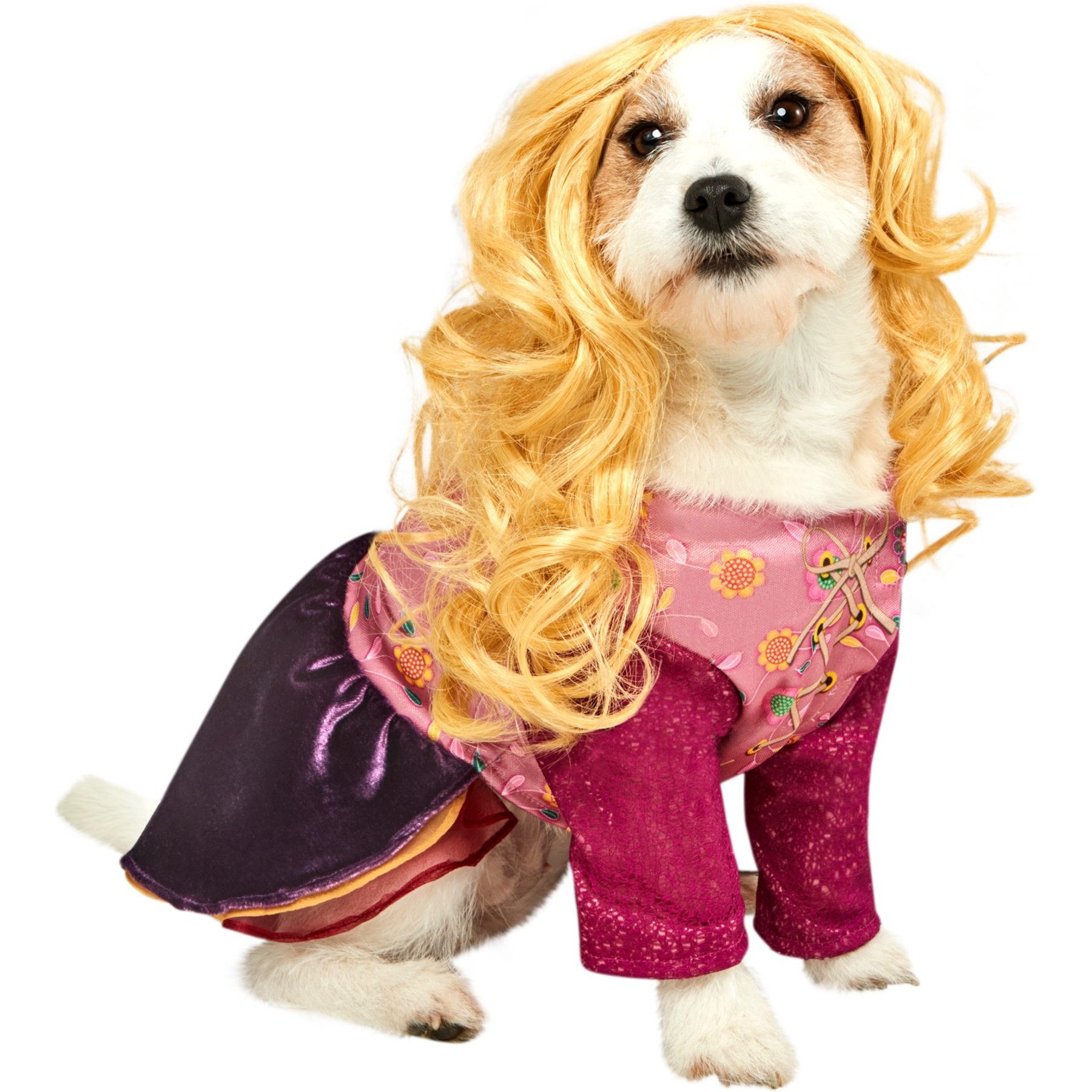 Rubie's Costume Company Hocus Pocus Sarah Sanderson Dog Costume, Large