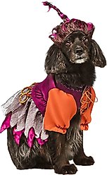 Rubie's Costume Company Hocus Pocus Mary Sanderson Dog Costume, Large