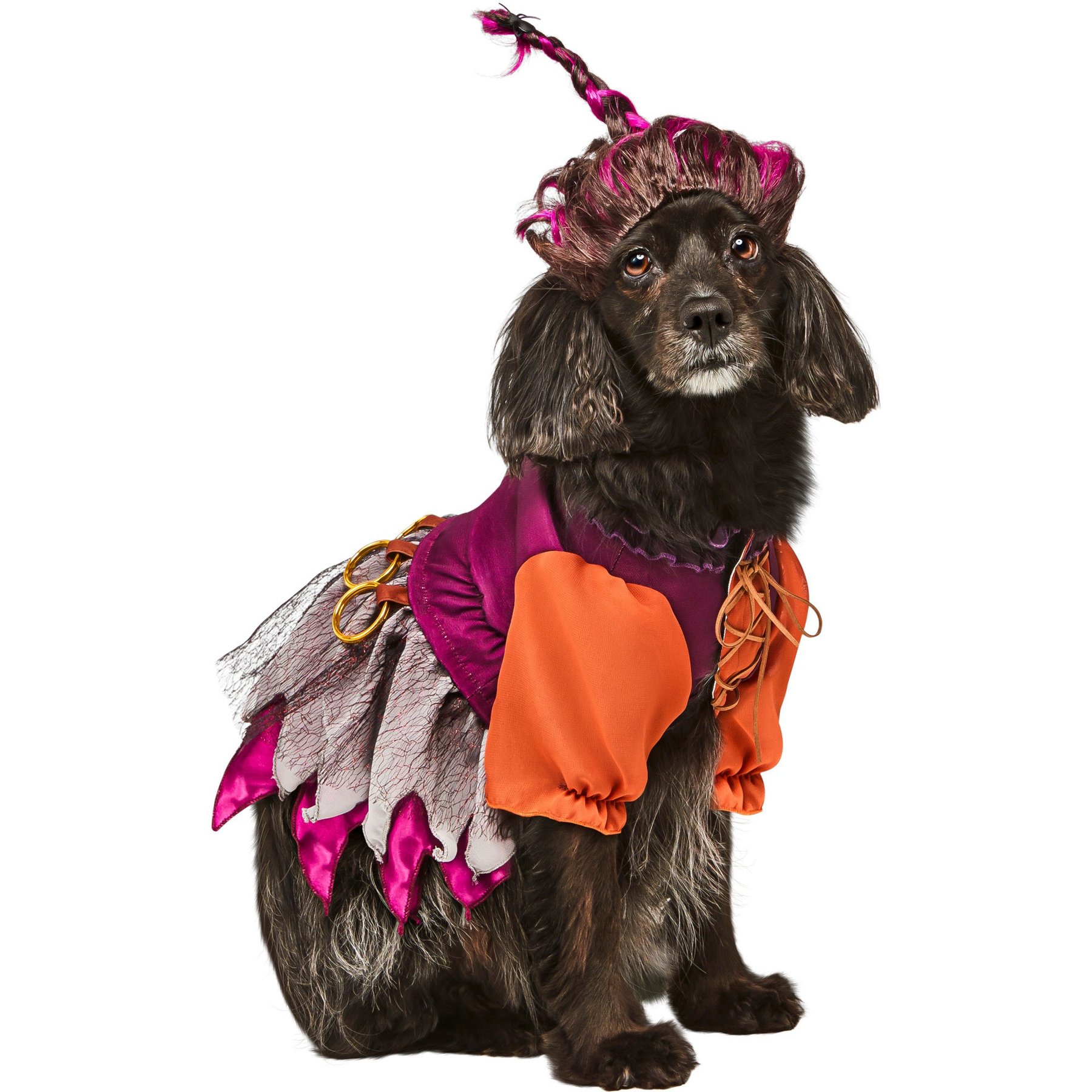 Rubie's Costume Company Hocus Pocus Mary Sanderson Dog Costume, Medium