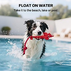 allforpaws Chill Out Zingers Flying Lobster Dog Toy slide 2 of 8