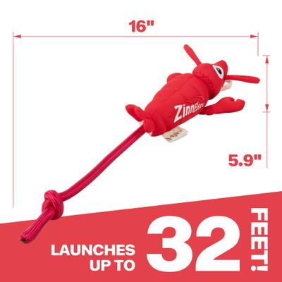Show full view: allforpaws Chill Out Zingers Flying Lobster Dog Toy slide 7 of 9
