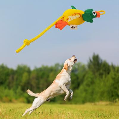 Show full view: allforpaws Chill Out Zingers Flying Mallard Dog Toy slide 2 of 8