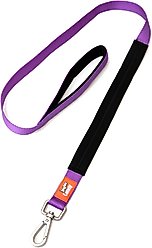 Canny Standard Dog Leash for use with Canny Collar, Purple, 1-in wide
