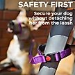Show in main carousel: Canny Connect Dog Leash with Lockable Fixed Point Buckle, Purple, 1-in wide slide 2 of 9