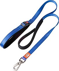 Canny Connect Dog Leash with Lockable Fixed Point Buckle, Blue, 0.5-in wide