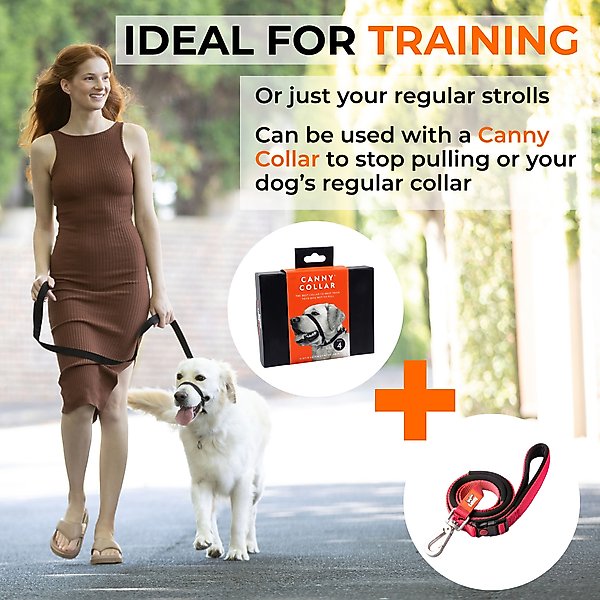 Show full view: Canny Connect Dog Leash with Lockable Fixed Point Buckle, Purple, 1-in wide slide 3 of 9