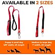 Show in main carousel: Canny Connect Dog Leash with Lockable Fixed Point Buckle, Purple, 1-in wide slide 6 of 9
