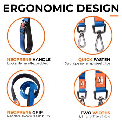 Show full view: Canny Connect Dog Leash with Lockable Fixed Point Buckle, Black, 1-in wide slide 4 of 9