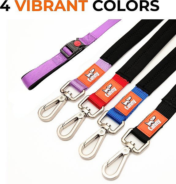 Show full view: Canny Connect Dog Leash with Lockable Fixed Point Buckle, Purple, 1-in wide slide 7 of 9