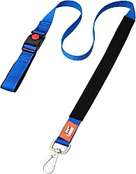 Canny Connect Dog Leash with Lockable Fixed Point Buckle, Blue, 1-in wide