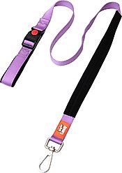 Canny Connect Dog Leash with Lockable Fixed Point Buckle, Purple, 1-in wide