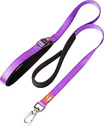 Canny Connect Dog Leash with Lockable Fixed Point Buckle, Purple, 0.5-in wide