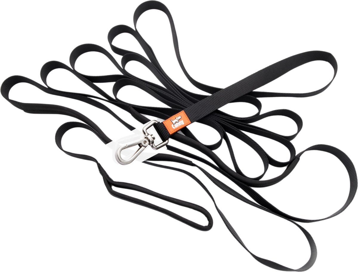 CANNY Recall Extra Long Dog Training Leash, Black, 1-in wide, 23-ft ...