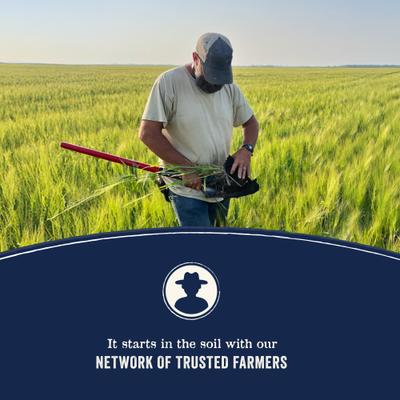 CANIDAE Grain-Free PURE Limited Ingredient Salmon & Sweet Potato Recipe Dry Dog Food