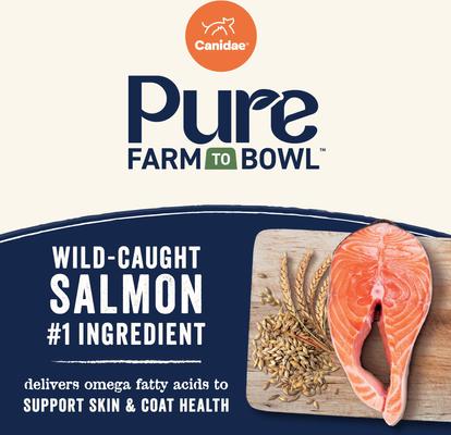 Show full view: CANIDAE Pure Farm to Bowl Wild-Caught Salmon & Barley Recipe Dry Dog Food, 4-lb bag slide 4 of 10