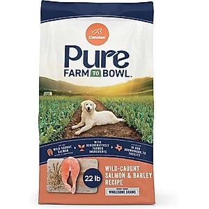 CANIDAE Grain-Free PURE Limited Ingredient Salmon & Sweet Potato Recipe Dry Dog Food