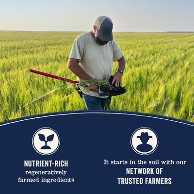 Show full view: CANIDAE Grain-Free PURE Senior Limited Ingredient Chicken, Sweet Potato & Garbanzo Bean Recipe Dry Dog Food, 12-lb bag slide 8 of 11