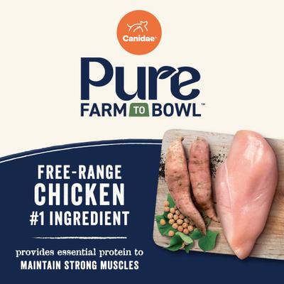 Show full view: CANIDAE Grain-Free PURE Senior Limited Ingredient Chicken, Sweet Potato & Garbanzo Bean Recipe Dry Dog Food, 12-lb bag slide 5 of 11