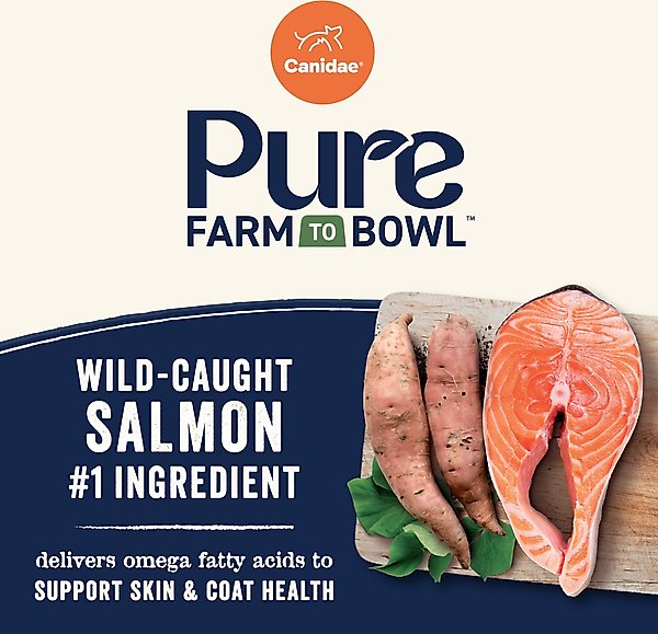 Show full view: CANIDAE Pure Farm to Bowl Wild-Caught Salmon & Sweet Potato Recipe Dry Dog Food, 22-lb bag slide 5 of 11