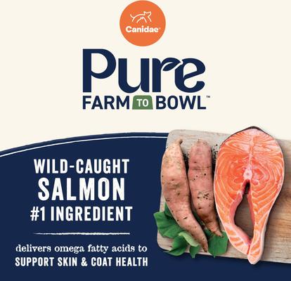 Show full view: CANIDAE Pure Farm to Bowl Wild-Caught Salmon & Sweet Potato Recipe Dry Dog Food, 22-lb bag slide 4 of 10