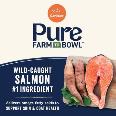 CANIDAE Grain-Free PURE Limited Ingredient Salmon & Sweet Potato Recipe Dry Dog Food