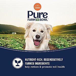 Canidae Pure Farm to Bowl Wild-Caught Salmon & Sweet Potato Recipe Dry Dog Food, 22-lb bag