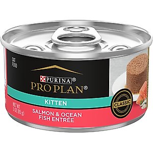 Purina Pro Plan Kitten Classic Salmon & Ocean Fish Entree Canned Cat Food, 3-oz, case of 24