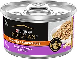 Purina Pro Plan Adult Turkey & Rice Entree in Gravy Canned Cat Food, 3-oz, case of 24