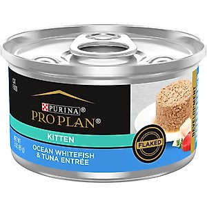 Purina Pro Plan Kitten Chicken & Rice Formula Dry Cat Food