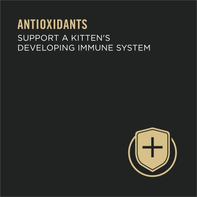 Show full view: Purina Pro Plan Kitten Flaked Ocean Whitefish & Tuna Entree Canned Cat Food, 3-oz, case of 24 slide 6 of 12