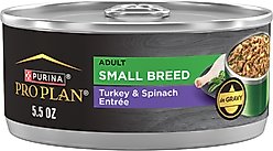 Purina Pro Plan Adult Small Breed High-Protein Turkey & Spinach Entree in Gravy Shredded Wet Dog Food, 5.5-oz can, case of 24
