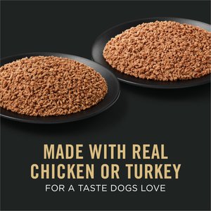 Purina Pro Plan Development Variety Pack Puppy Grain-Free Chicken Entree & Turkey Entree Wet Dog Food, 13-oz can, case of 12