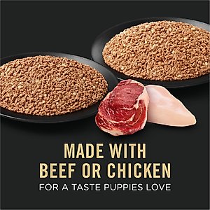 Purina Pro Plan Sport Development Puppy High Protein Beef & Rice Entrée & Chicken & Rice Entrée Variety Pack Wet Dog Food, 13-oz can, case of 12
