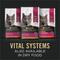 Show in main carousel: Purina Pro Plan Vital Systems Beef Entree in Wet Cat Food Gravy, 3-oz can, case of 24 slide 6 of 12
