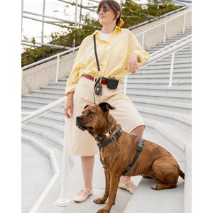 Sunny Tails 4-in-1 Convertible Hands Free Cloud Dog Leash, 8.5-ft long, 5/8-in wide, Ember Black