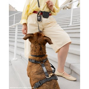 Sunny Tails 4-in-1 Convertible Hands Free Cloud Dog Leash, 8.5-ft long, 5/8-in wide, Ember Black