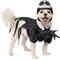 Show in main carousel: Rubie's Costume Company Jack Skellington Dog Costume, Medium slide 1 of 9