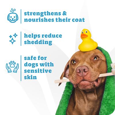 Show full view: Espree Simple Shed Oat Hydrolysates & Chamomile Dog Shampoo & Conditioner, 1-gal bottle slide 5 of 9