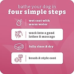 Espree Simple Soothe Oatmeal Dog Shampoo & Conditioner with Baking Soda, Fresh Scent, 1-gal bottle slide 2 of 7