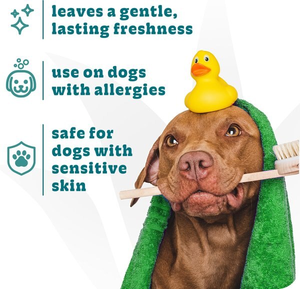 Espree Hypoallergenic Tearless Aloe Vera Dog Shampoo & Conditioner